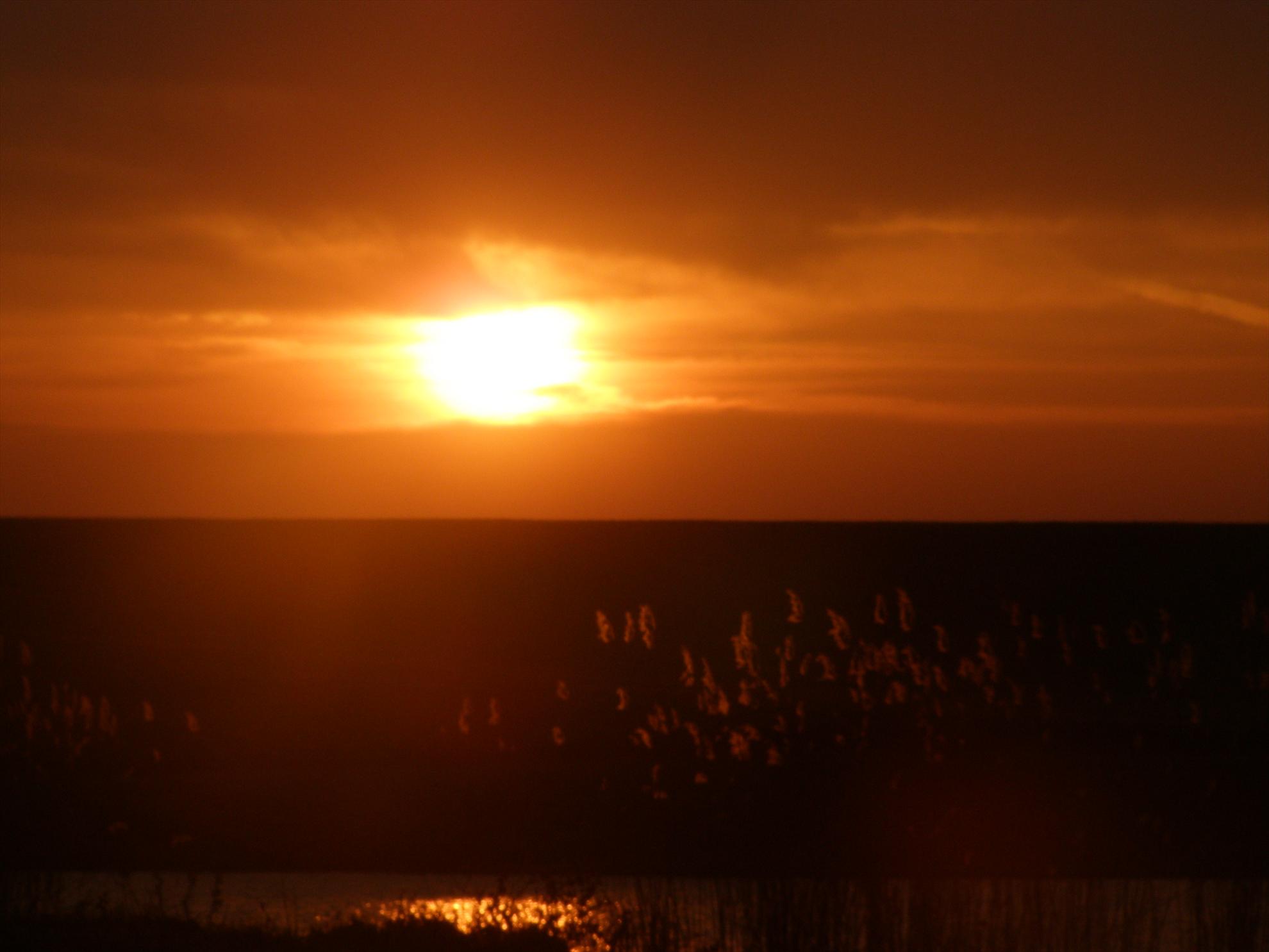 Capturi  - p3210939.JPG